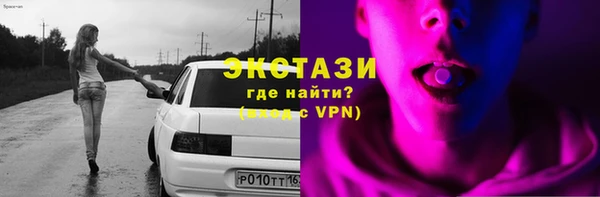 мдпв Богородицк