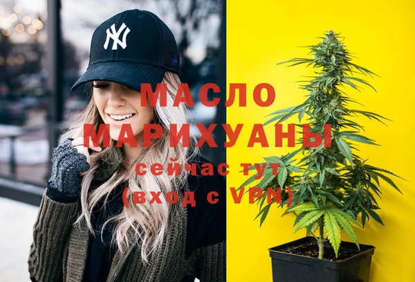 мдпв Богородицк