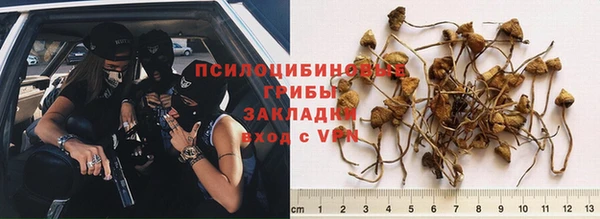 мдпв Богородицк